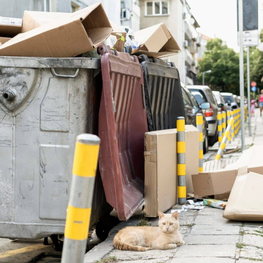 Gestion Écologique des Déchets Déménagement