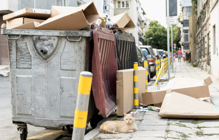 Gestion Écologique des Déchets Déménagement