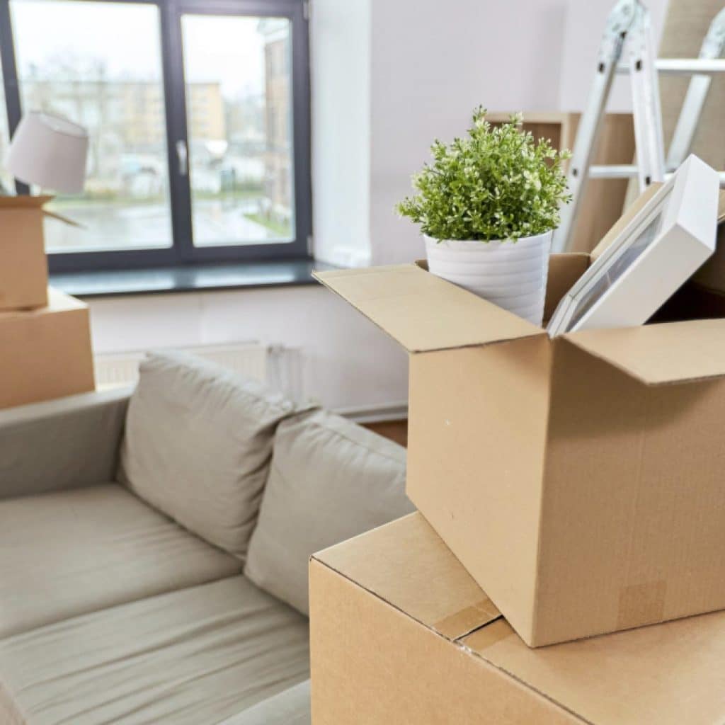 Déménager à La Ciotat : guide complet, conseils pratiques et réalités locales