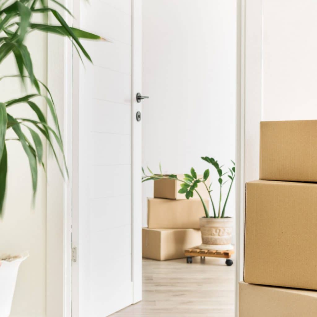 Déménager à Saint-Cyr-sur-Mer : conseils pratiques et réalités locales