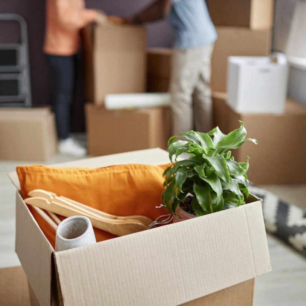 Déménager à Bandol : guide complet et conseils pratiques pour réussir son installation