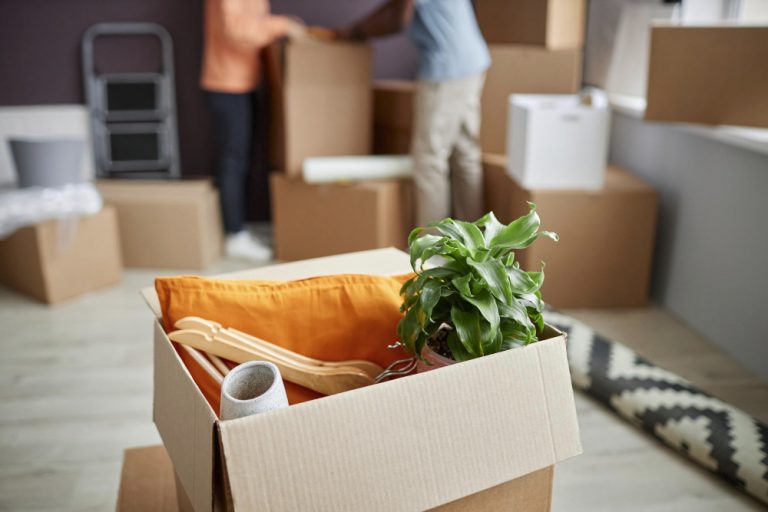 Déménager à Bandol : guide complet et conseils pratiques pour réussir son installation